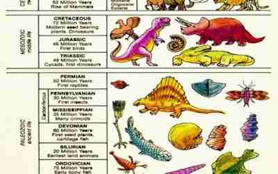 Aardlagen en de geologische tijdschaal (kids 10+)