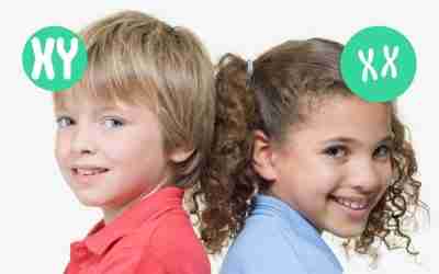 Jongens en meisjes – over gender (kids)