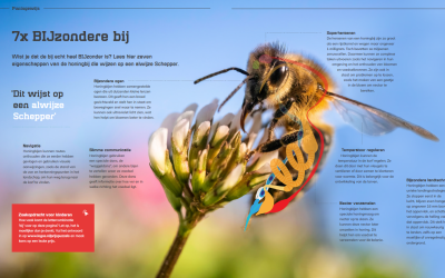 De honingbij is bijzonder