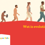 wat is evolutie